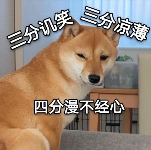 至尊配资 养狗久了才发现，被真爱与被溺爱狗狗差别这么大