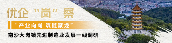 鑫旺资管 明珠电气：数字新生，创新驱动的变压器先锋