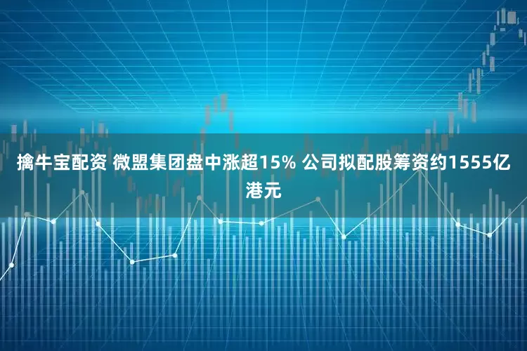 擒牛宝配资 微盟集团盘中涨超15% 公司拟配股筹资约1555亿港元